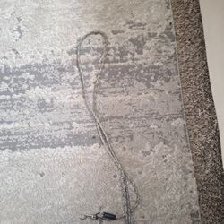 Dog Leash