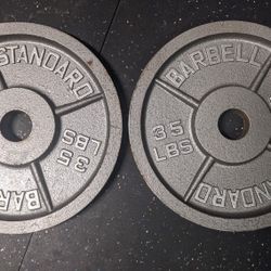 Pair 35lbs Steel Plates 