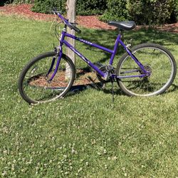 Mountain Bike Roadmaster