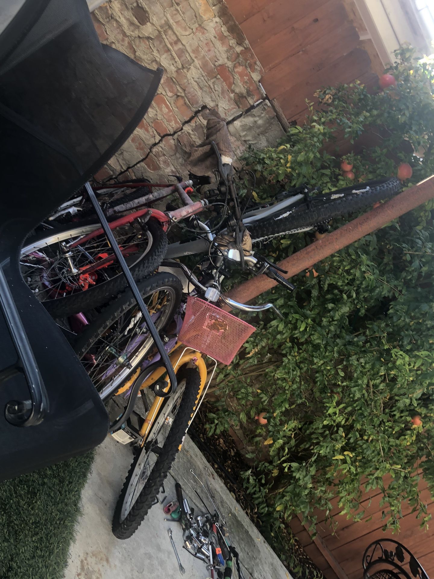 Bikes and More Just Dm