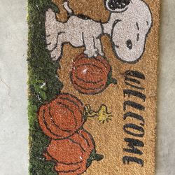 Vintage Snoopy Collection 