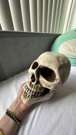 Ceramic Skull