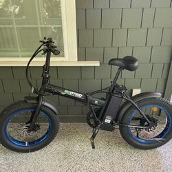 Ecotric Electric Bike