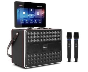 Karaoke Machine for Adults, with Lyrics Display, Smart Portable Big Bluetooth Speaker 2 Wireless Microphones, Professional Karaoke System 800W Peak Po