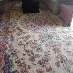 Persian Rug 22 Ft  By 12 Ft