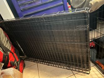42 inch dog crate