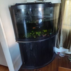 55 Gallon Fish Tank