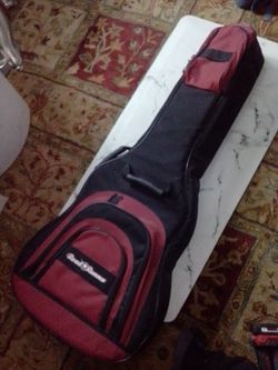 Acoustic gig bag