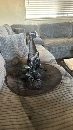 Witch hat