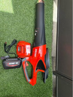 ECHO Blower, Battery and Rapid Charger / Sopladora ECHO con pila y cargador