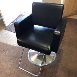 Salon Chair