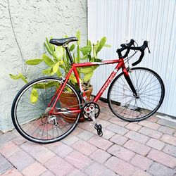 Trek 1200 SL Road Bike – Shimano 105 – 54cm – Carbon Fork – Tuned & Cleaned