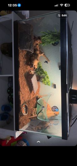 Reptile enclosure