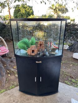 35 Gallon Fish Tank