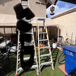 Wagner Ladders 