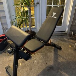 X Chief Adjustable Weight Bench (Heavy Duty + Foldable, 1000lb Capacity)