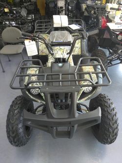 Bull 150cc ATV on sale