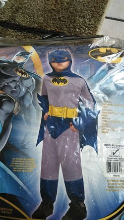 Toddler costume
