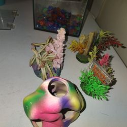 2 Fish tanks And Accessories 