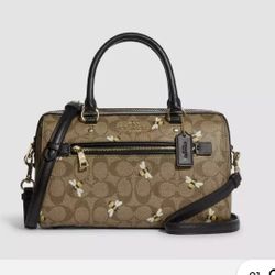 Like New Beautiful Bumble Bee Coach Bag