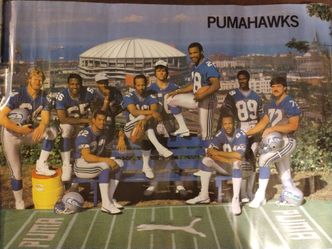 Vintage 1984 Pumahawks Seahawks poster, Puma promotion, 22x17"