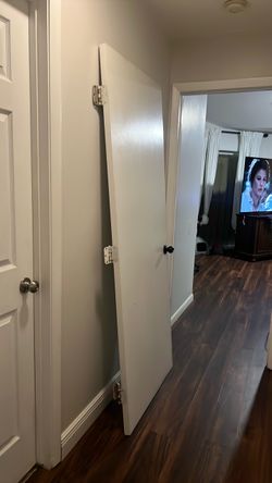 Hollow interior door