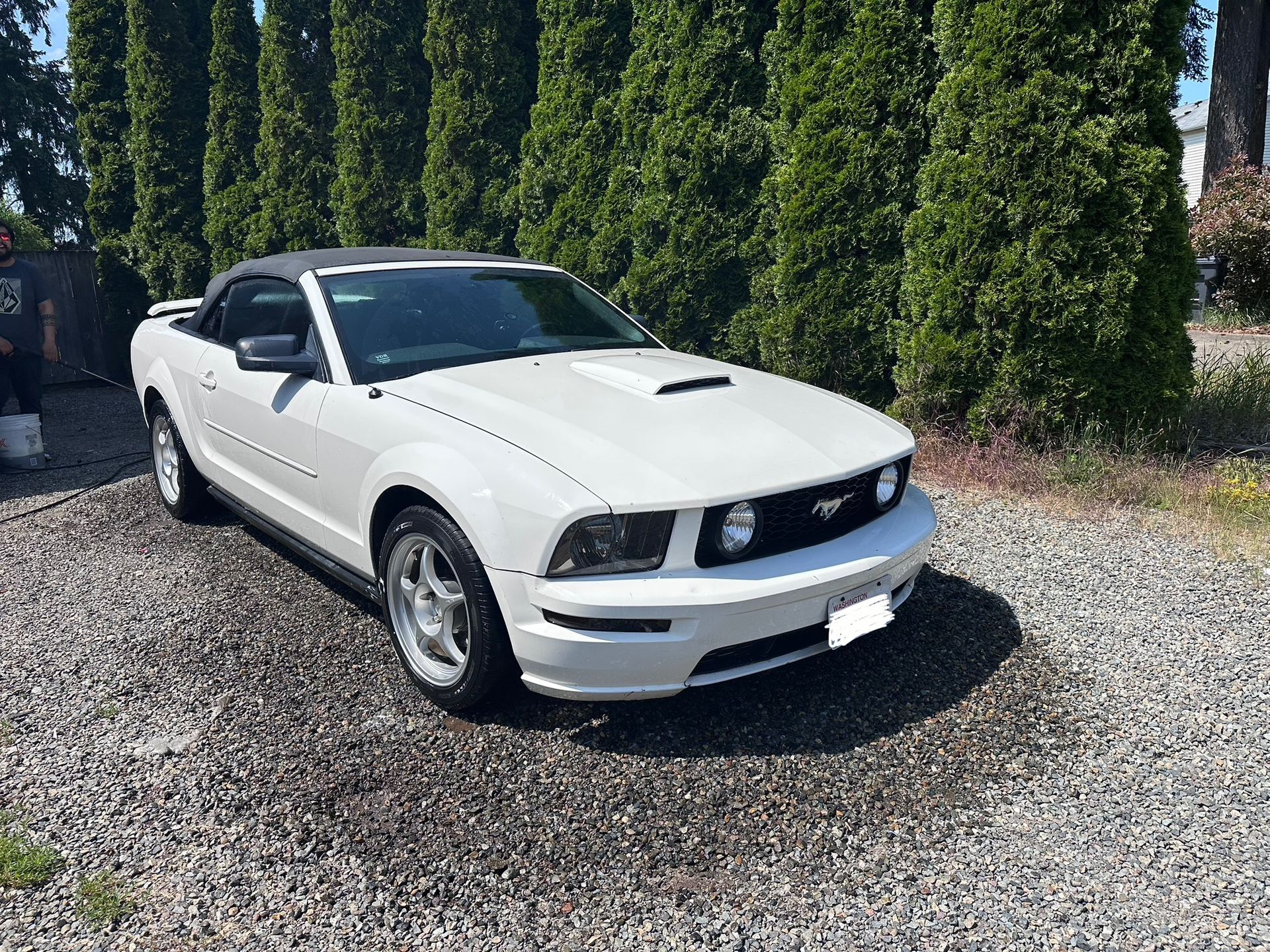 2006 Ford Mustang
