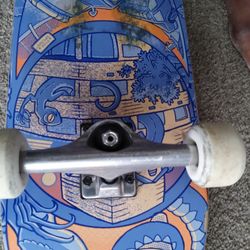 Professional skate board