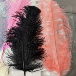Feathers 