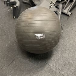 Perform Better Fitball (max 55 Cm) 