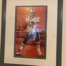 Dan Marino Framed Picture 