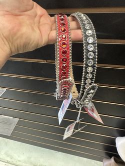 Bb Simon Dog Collar For Doodles 