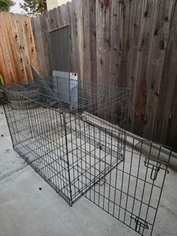 Kennel