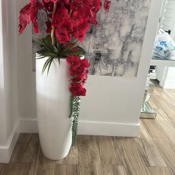Orquídeas 