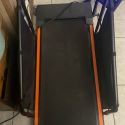 Dog Treadmill