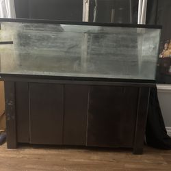 50 Gallon Fish Tank + Stand
