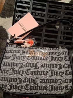 Juicy mini clutch purse