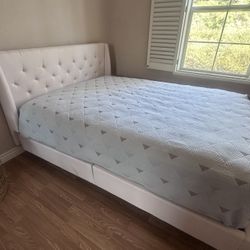 Queen Bed 