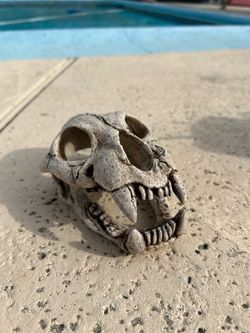Fish ornament (or otherwise)