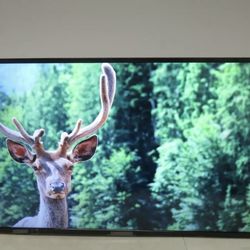 Insignia 43in  Class Led 4k UHD Smart Fire Tv