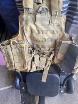 Vest