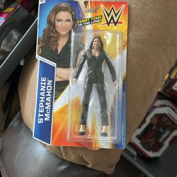 Wwe Toy