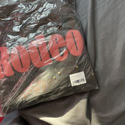 Travis Scott x Sp5der “Days Before Rodeo” Hoodie 