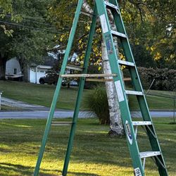Werner 8Ft 225Lb Fiberglass Step Ladder