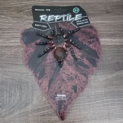 Realistic Arachnid Spider Toy