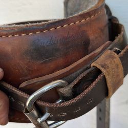 Buckingham Arborist Spurs Spikes Climbing
