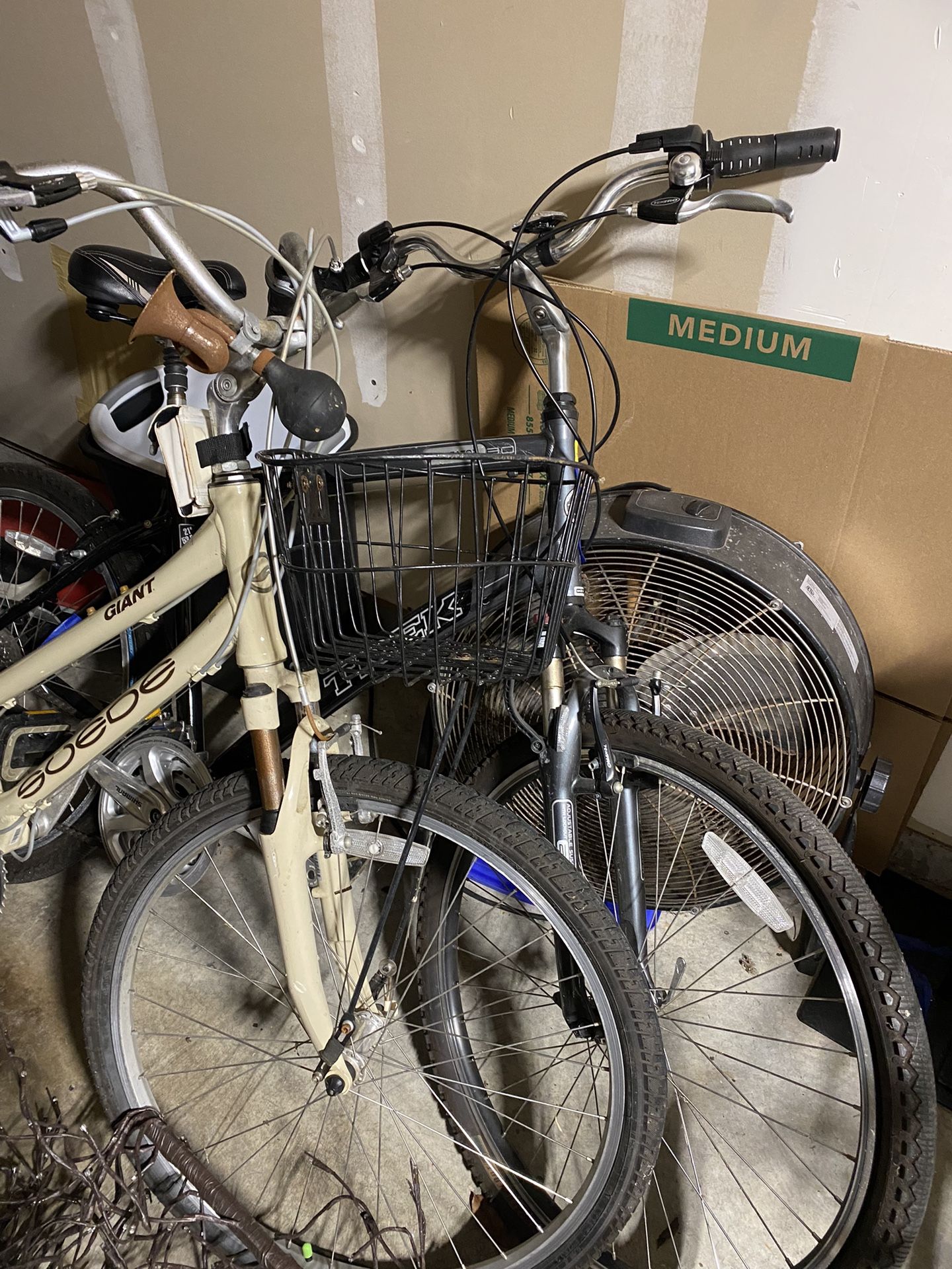 Bikes For The Whole Family!