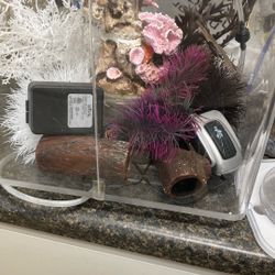 biorb cube aquarium