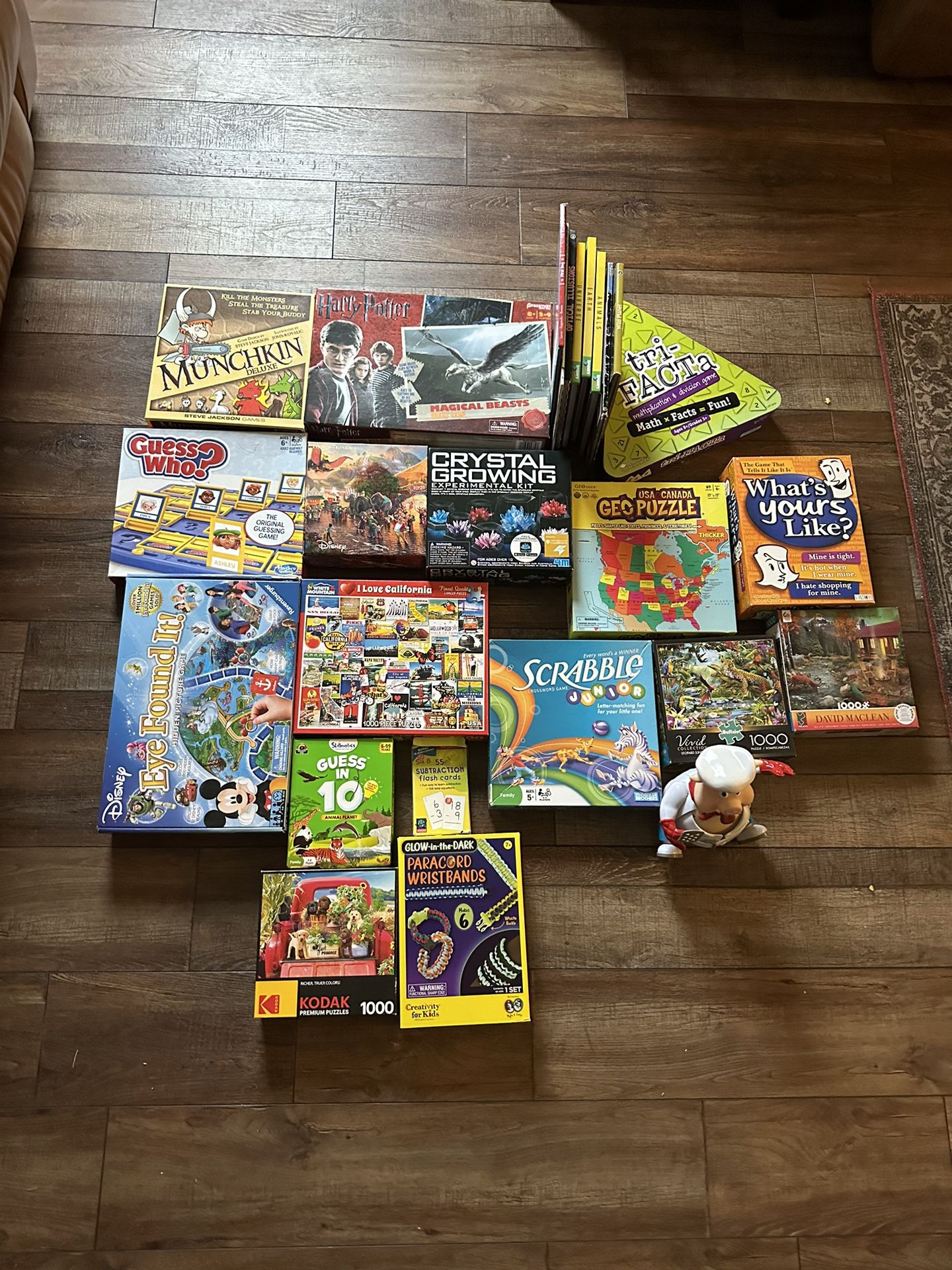 Board games/ puzzles / books 