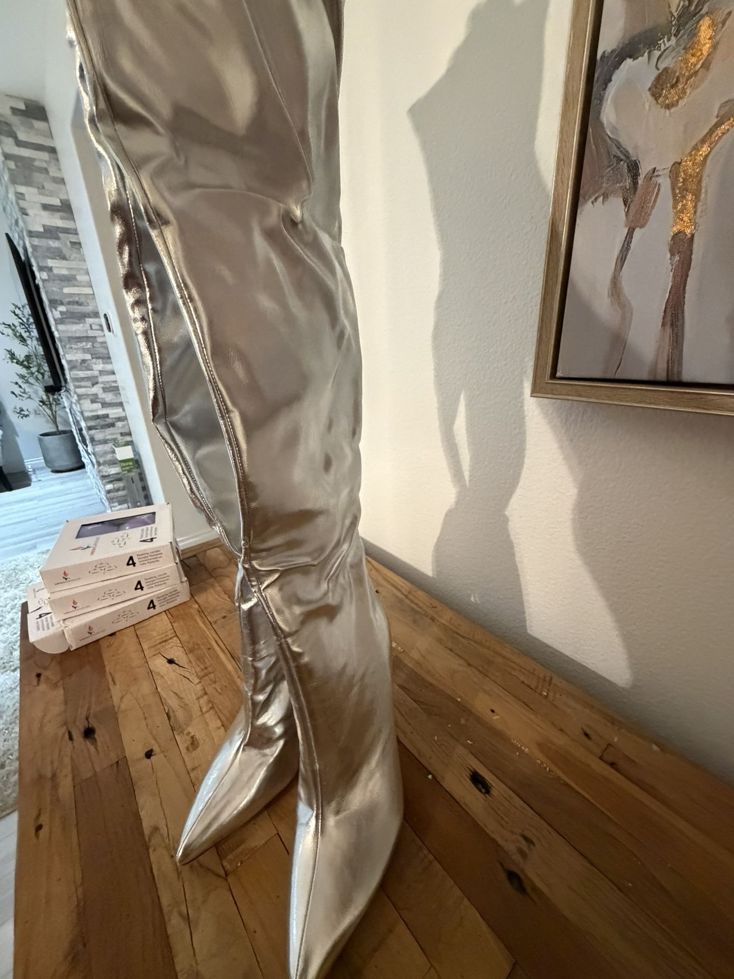 Brand New Women’s Knee-High Silver Boots – Size 8 1/2